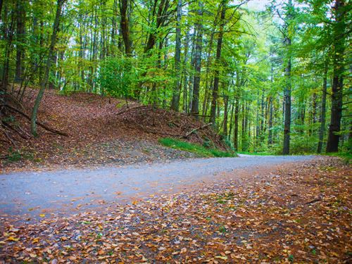 .71 Acres Ashe County NC : Fleetwood : Ashe County : North Carolina