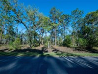 Florida is Waiting for You : Dunnellon : Marion County : Florida