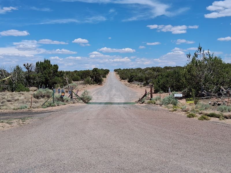 Desert Trail Begin at Your Doorstep : Saint Johns : Apache County : Arizona