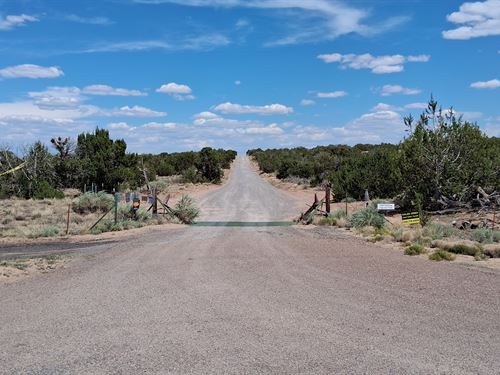 Desert Trail Begin at Your Doorstep : Saint Johns : Apache County : Arizona