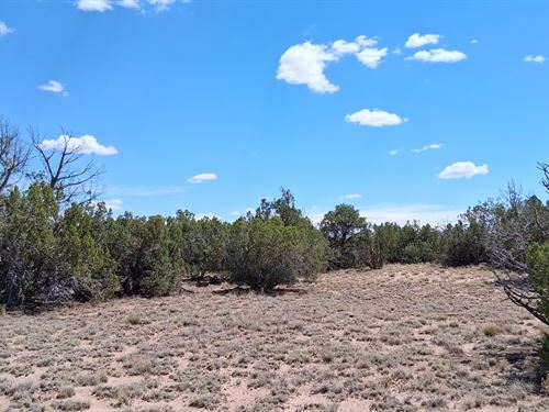 Live Your Dream Off-Grid Life : Saint Johns : Apache County : Arizona