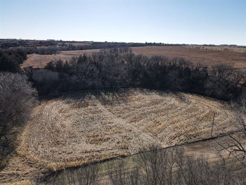 Burr Oak Creek : Burr Oak : Jewell County : Kansas