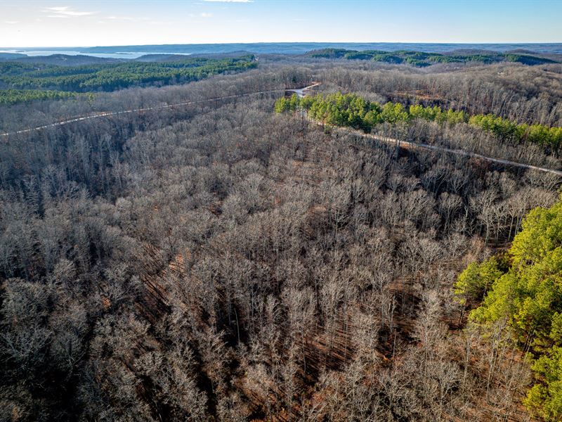 11 Acre Tennessee Land for Sale : Waver : Humphreys County : Tennessee