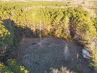 6 Acre Mini Farm in Waverly : Waverly : Tallapoosa County : Alabama