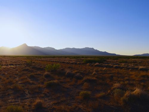 2 Acres Near Deming NM : Deming : Luna County : New Mexico