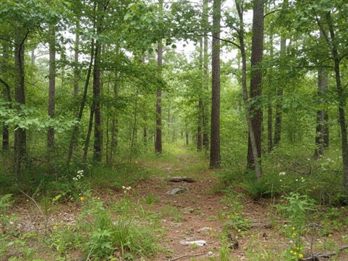 8.8 Acres in Aiken County SC : Salley : Aiken County : South Carolina