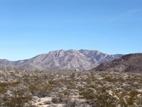 Your Arizona Retirement Dream : Yucca : Mohave County : Arizona