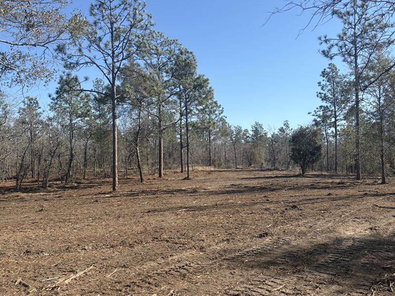 Mini Farm or Large Homesite : Swainsboro : Emanuel County : Georgia