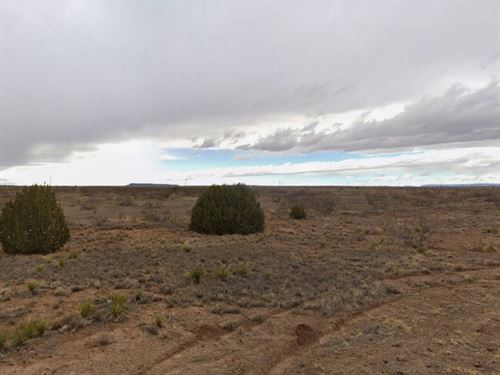 Quiet Land, No HOA, Owner Financing : Conchas Dam : San Miguel County : New Mexico