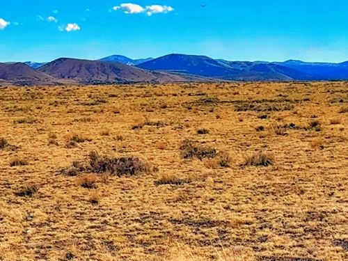 Beautiful Views with Adjoining Lots : Concho : Apache County : Arizona