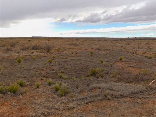 No HOA Lot, Near Highway, $1 Down : Conchas Dam : San Miguel County : New Mexico