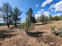 3+ Acres for Less Than a Used Car : Beatty : Klamath County : Oregon