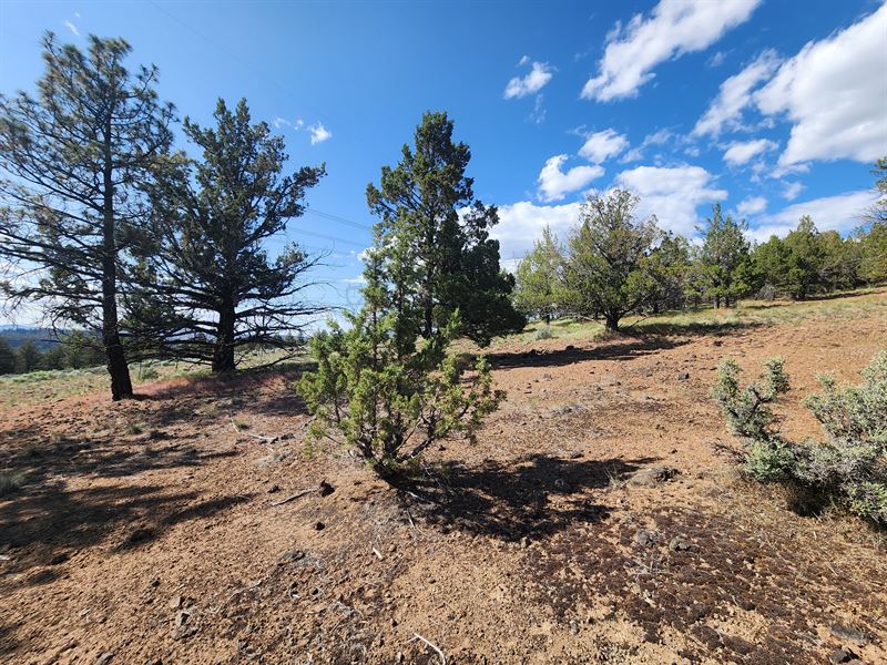 3+ Acres for Less Than a Used Car : Beatty : Klamath County : Oregon