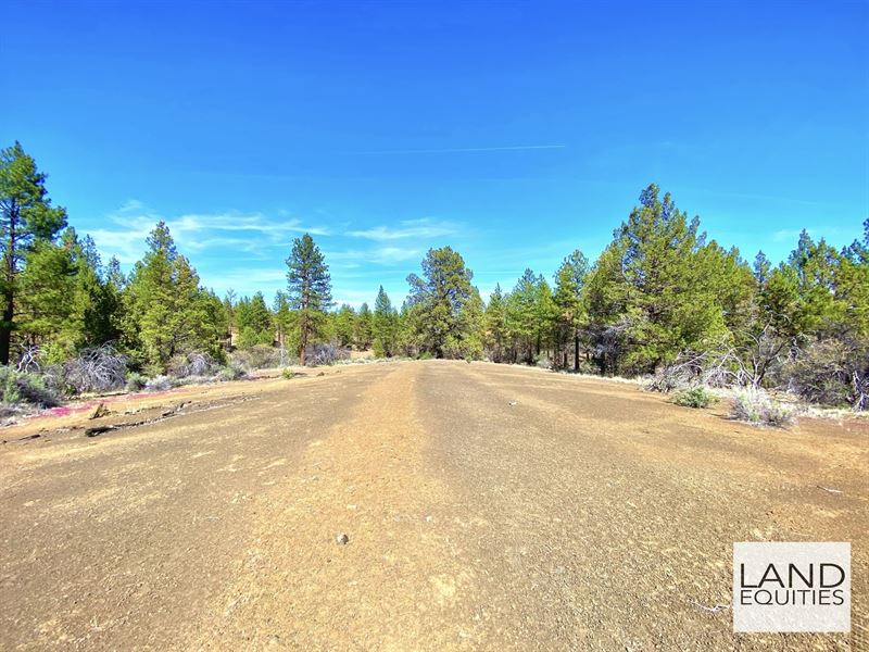 Unique Private Setting in The Trees : Sprague River : Klamath County : Oregon
