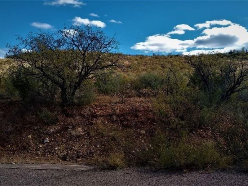 Get Out Where The Real Stuff Happen : Rio Rico : Santa Cruz County : Arizona