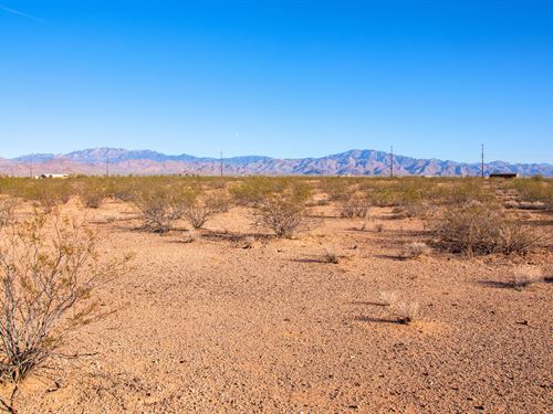 Easy to Use Desert Land : Golden Valley : Mohave County : Arizona