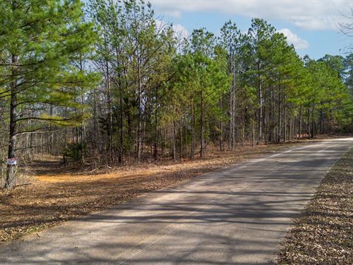 Olde Tennessee Trail 140 : Springville : Henry County : Tennessee