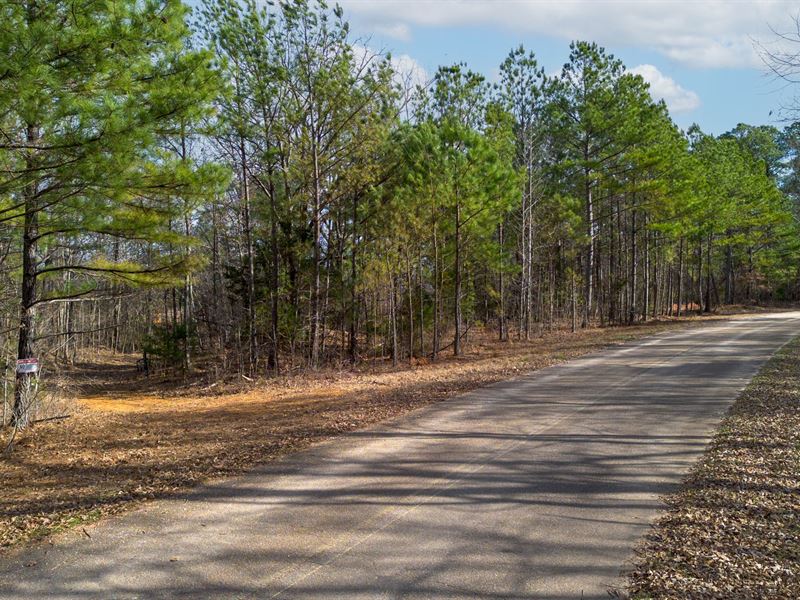 Olde Tennessee Trail 140 : Springville : Henry County : Tennessee