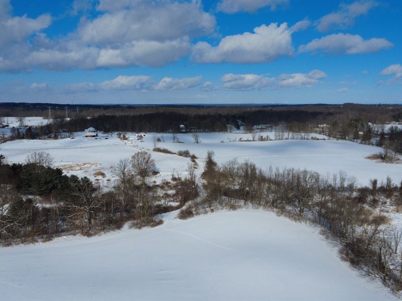 Bordman Road 80 Acres, Oakland : Leonard : Oakland County : Michigan