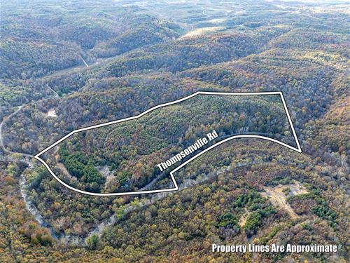 Thompsonville Rd, 51 Acres : Vinton : Ohio