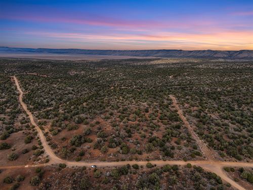 Side-By-Side Lots Near Route 66 : Seligman : Yavapai County : Arizona