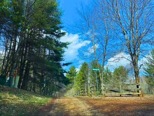 1.08 Acres Ashe Woods : Creston : Ashe County : North Carolina