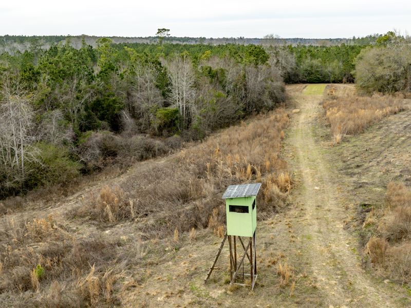 Telfair Tract 1 : Milan : Telfair County : Georgia