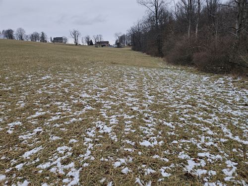 28.6 Acres Open Land & Woods : Hillsboro : Highland County : Ohio