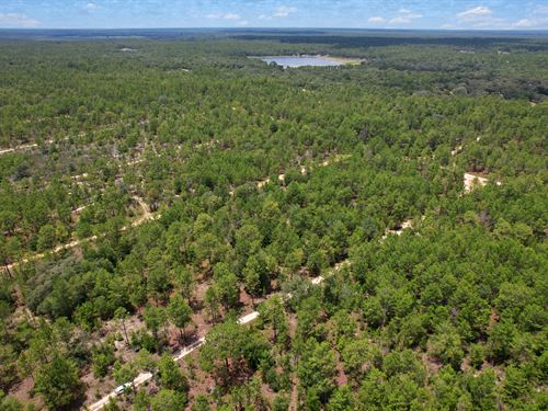 Your Homestead By The Lake : Hawthorne : Putnam County : Florida