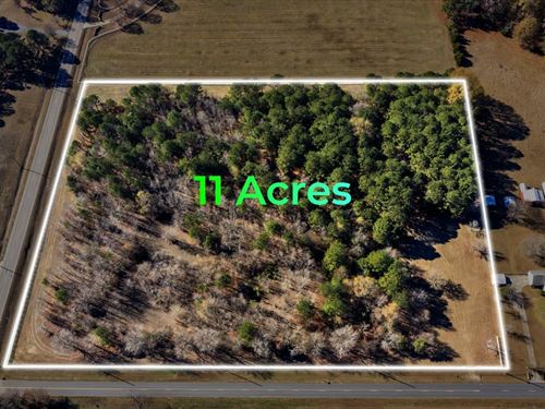 This is Where Acreage Meets Beauty : Byron : Peach County : Georgia