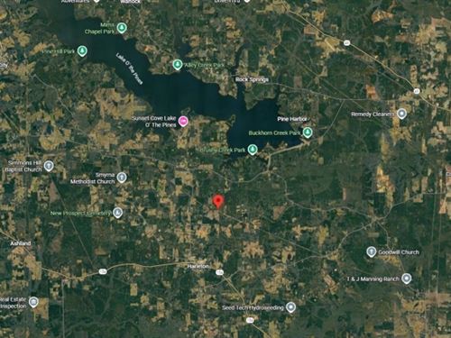 Half Acre East of Dallas Near Lake : Harleton : Harrison County : Texas