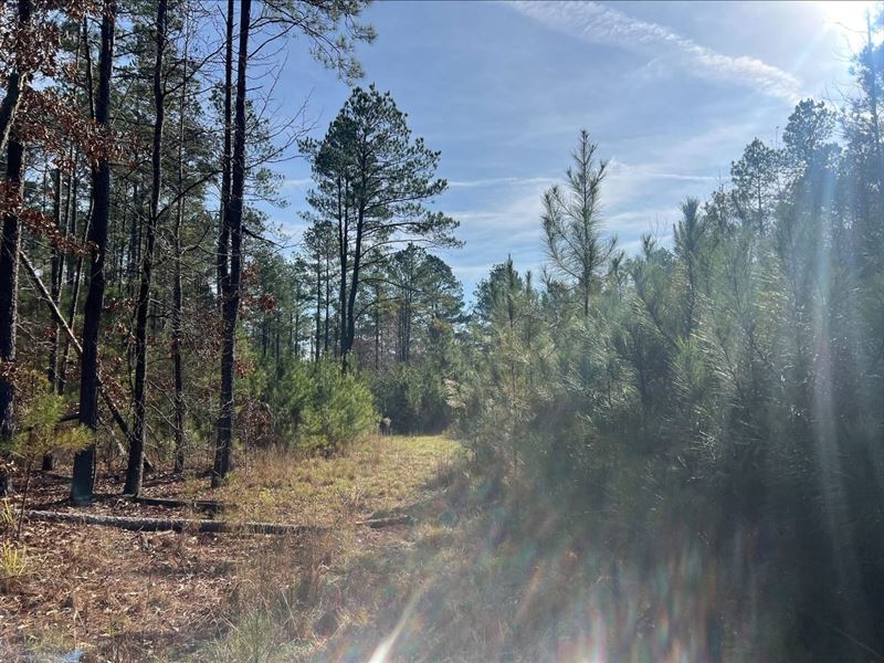 New Edinburg 80 : New Edinburg : Cleveland County : Arkansas