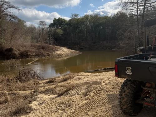 340 Acres in Crenshaw County, AL : Brantley : Crenshaw County : Alabama