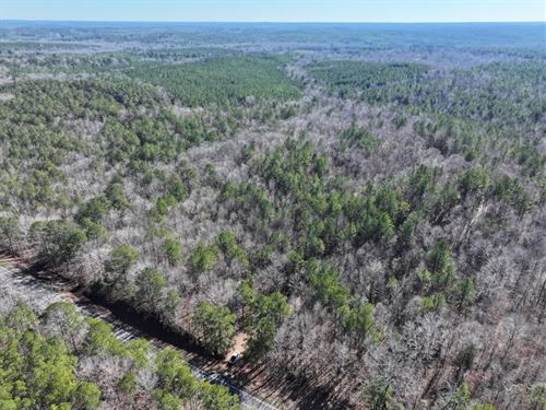 39 Acres in Pickens County, AL : Carrollton : Pickens County : Alabama