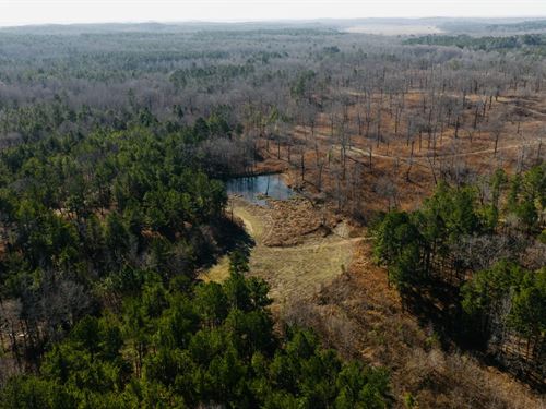 276.2 Acres in Yalobusha County, MS : Coffeeville : Yalobusha County : Mississippi