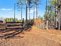 63 Acres in Comer, GA : Comer : Madison County : Georgia