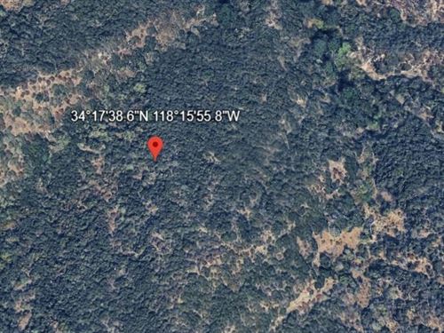 Off-Grid Opportunity in Tujunga, CA : Tujunga : Los Angeles County : California