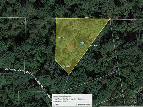 .45 Acre in Ore City, $250/Mo : Ore City : Marion County : Texas