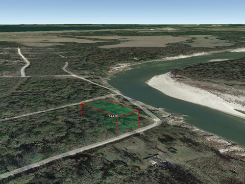.45 Acre in Coldspring, $225/Mo : Coldspring : San Jacinto County : Texas