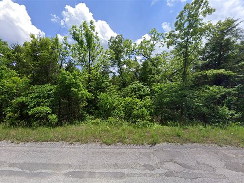 Powerlines Are at The Property : Horseshoe Bend : Izard County : Arkansas