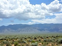 .90 Acre Open Desert Land : Belen : Valencia County : New Mexico
