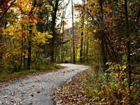 .28 Acre Near Crown Lake : Horseshoe Bend : Izard County : Arkansas