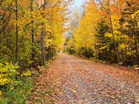 1 Minute From Strawberry River : Horseshoe Bend : Izard County : Arkansas