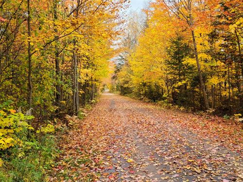 1 Minute From Strawberry River : Horseshoe Bend : Izard County : Arkansas