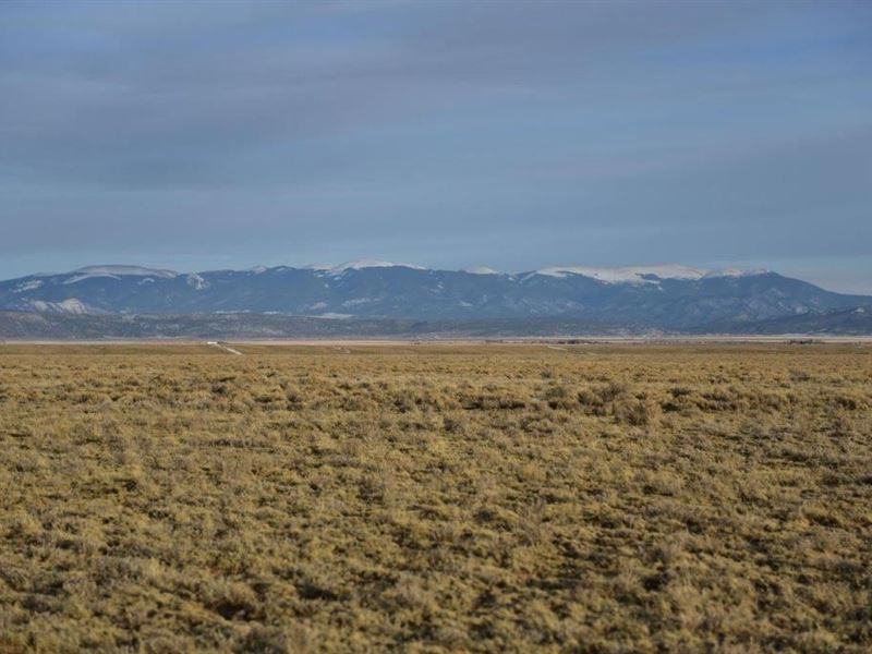 The Perfect 5 Acre Parcel1 : San Luis : Costilla County : Colorado