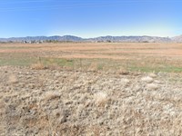 Land Without The Headache : Pearce : Cochise County : Arizona