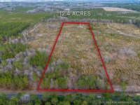 12.40 Acres, Cox Tract 2 in Dodge : Eastman : Dodge County : Georgia