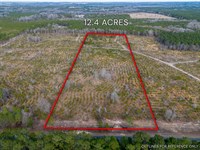 12.40 Acres, Cox Tract 3 in Dodge : Eastman : Dodge County : Georgia