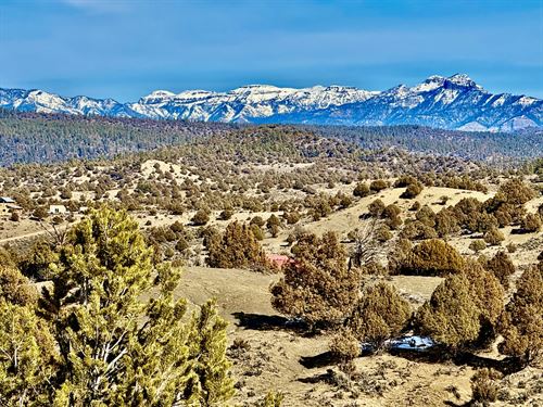 Pinon Hills Ranch Lot 30 : Pagosa Springs : Archuleta County : Colorado