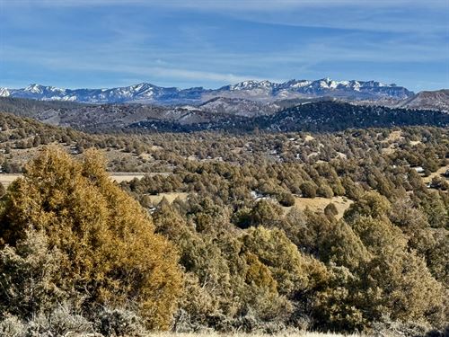 Pinon Hills Ranch Parcel 22 : Pagosa Springs : Archuleta County : Colorado